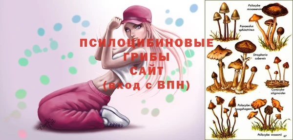 mix Алексеевка