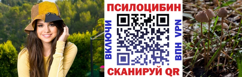 Галлюциногенные грибы Cubensis  Приозерск 